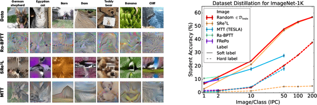 Figure 1 for A Label is Worth a Thousand Images in Dataset Distillation