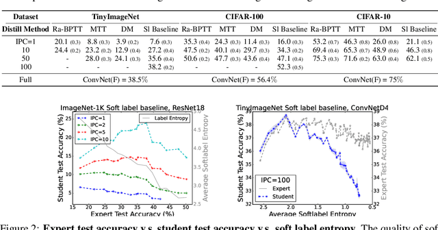 Figure 3 for A Label is Worth a Thousand Images in Dataset Distillation