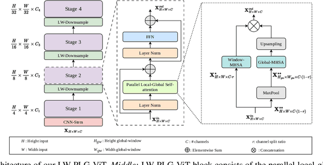 Figure 2 for Light-Weight Vision Transformer with Parallel Local and Global Self-Attention