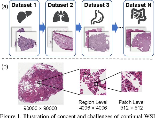 Figure 1 for ConSlide: Asynchronous Hierarchical Interaction Transformer with Breakup-Reorganize Rehearsal for Continual Whole Slide Image Analysis