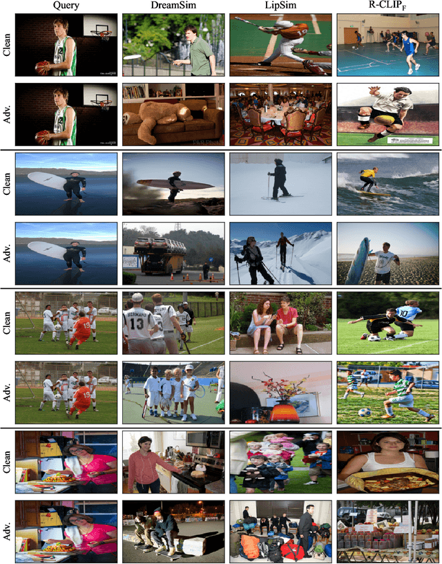 Figure 4 for Adversarially Robust CLIP Models Can Induce Better (Robust) Perceptual Metrics