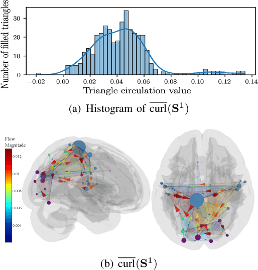 Figure 2 for Learning Higher-Order Interactions in Brain Networks via Topological Signal Processing