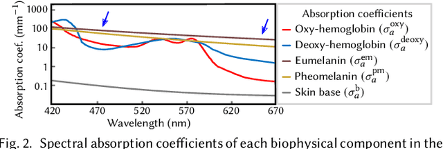 Figure 3 for Polarimetric BSSRDF Acquisition of Dynamic Faces