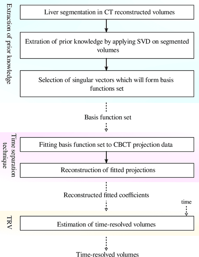 Figure 1 for Liver Segmentation in Time-resolved C-arm CT Volumes Reconstructed from Dynamic Perfusion Scans using Time Separation Technique