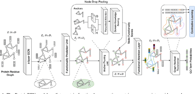 Figure 1 for ProteinRPN: Towards Accurate Protein Function Prediction with Graph-Based Region Proposals