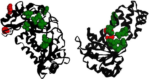 Figure 4 for ProteinRPN: Towards Accurate Protein Function Prediction with Graph-Based Region Proposals