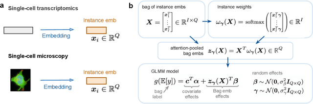 Figure 1 for Attention-based Multi-instance Mixed Models