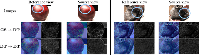 Figure 2 for RobustMVS: Single Domain Generalized Deep Multi-view Stereo