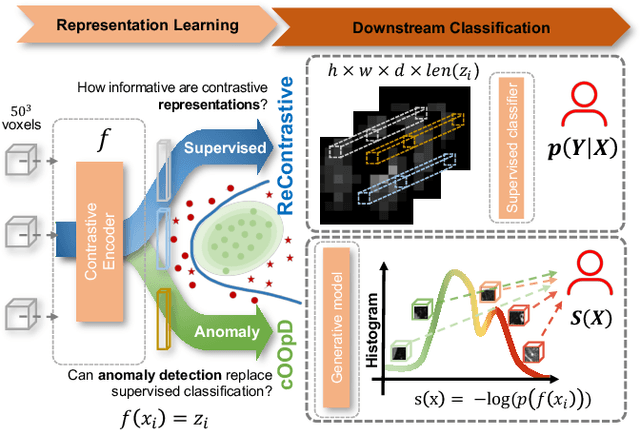 Figure 4 for cOOpD: Reformulating COPD classification on chest CT scans as anomaly detection using contrastive representations