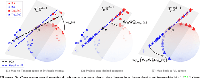 Figure 3 for Parts of Speech-Grounded Subspaces in Vision-Language Models