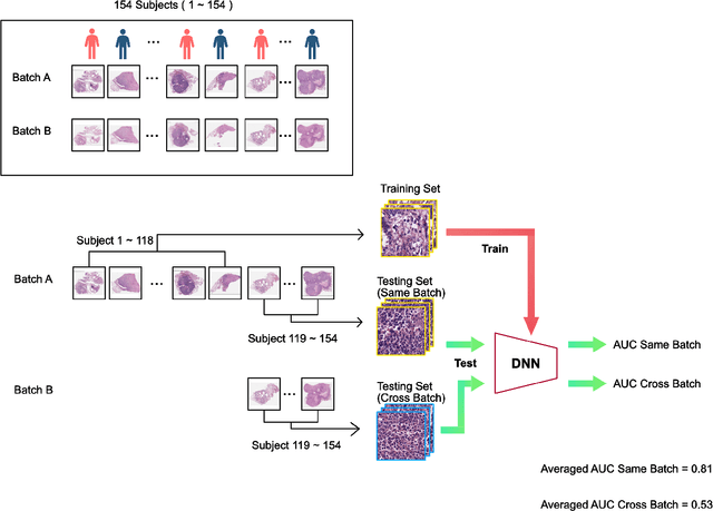 Figure 3 for Impact of Stain Variation and Color Normalization for Prognostic Predictions in Pathology