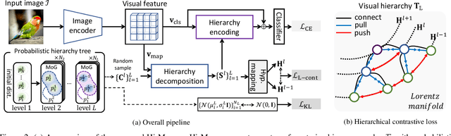 Figure 3 for Improving Visual Recognition with Hyperbolical Visual Hierarchy Mapping