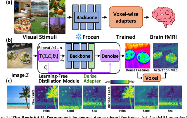 Figure 1 for Brain Mapping with Dense Features: Grounding Cortical Semantic Selectivity in Natural Images With Vision Transformers