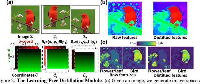 Figure 3 for Brain Mapping with Dense Features: Grounding Cortical Semantic Selectivity in Natural Images With Vision Transformers