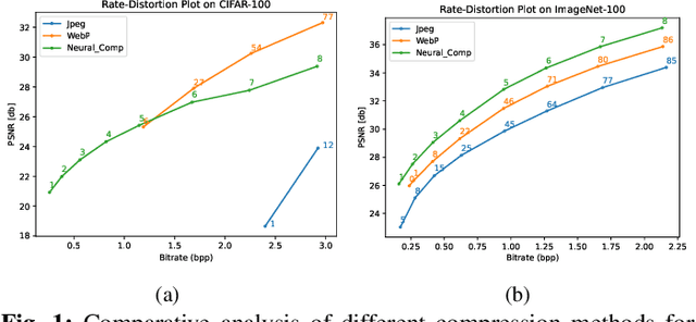 Figure 1 for Probing Image Compression For Class-Incremental Learning