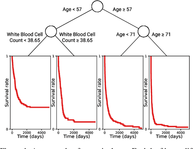 Figure 1 for Optimal Survival Trees: A Dynamic Programming Approach