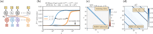 Figure 1 for Inferring High-Order Couplings with Neural Networks