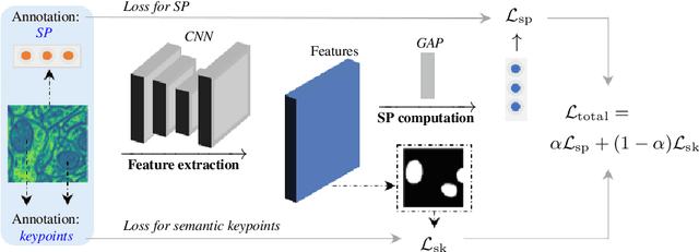 Figure 4 for Semantic Segmentation by Semantic Proportions