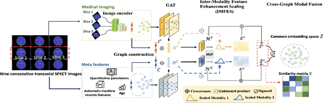 Figure 3 for Enhancing Multimodal Medical Image Classification using Cross-Graph Modal Contrastive Learning