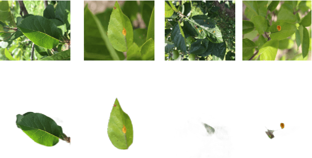 Figure 1 for Data Augmentation through Background Removal for Apple Leaf Disease Classification Using the MobileNetV2 Model