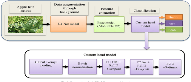 Figure 2 for Data Augmentation through Background Removal for Apple Leaf Disease Classification Using the MobileNetV2 Model