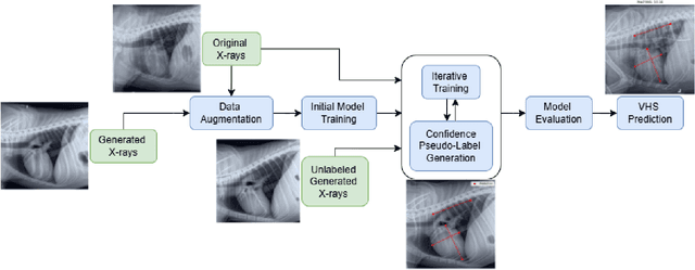 Figure 1 for Confident Pseudo-labeled Diffusion Augmentation for Canine Cardiomegaly Detection