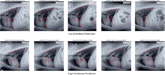 Figure 4 for Confident Pseudo-labeled Diffusion Augmentation for Canine Cardiomegaly Detection