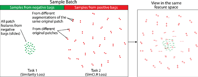 Figure 3 for WeakSupCon: Weakly Supervised Contrastive Learning for Encoder Pre-training