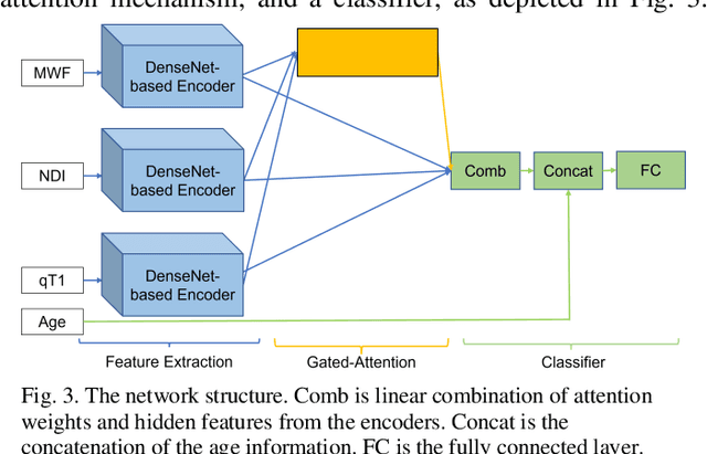 Figure 3 for GAMER-MRIL identifies Disability-Related Brain Changes in Multiple Sclerosis