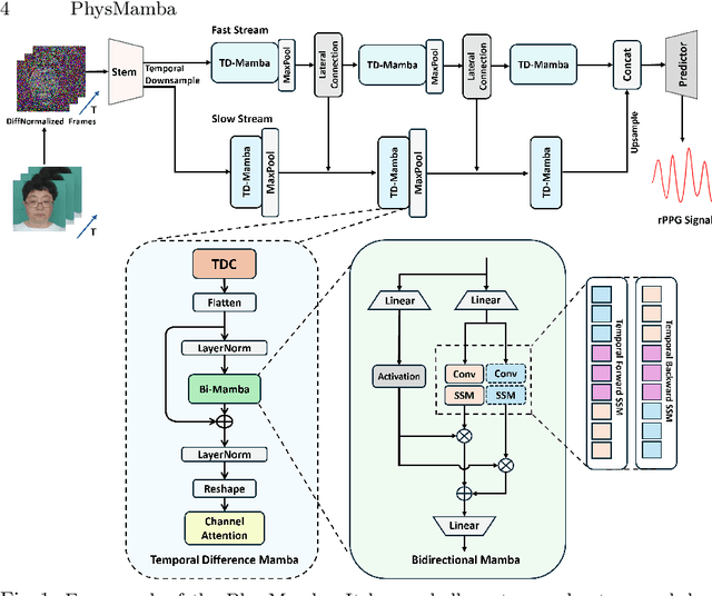 Figure 1 for PhysMamba: Efficient Remote Physiological Measurement with SlowFast Temporal Difference Mamba