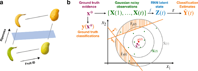 Figure 1 for Disentangling Representations in RNNs through Multi-task Learning
