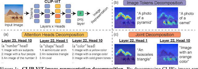 Figure 1 for Interpreting CLIP's Image Representation via Text-Based Decomposition