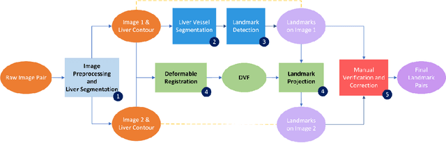 Figure 1 for A comprehensive liver CT landmark pair dataset for evaluating deformable image registration algorithms