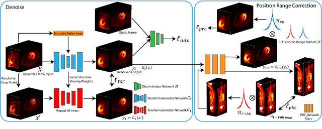 Figure 1 for Noise-aware Dynamic Image Denoising and Positron Range Correction for Rubidium-82 Cardiac PET Imaging via Self-supervision