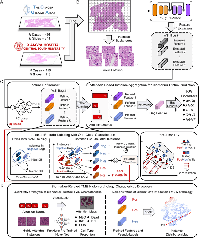 Figure 1 for Deep Learning Predicts Biomarker Status and Discovers Related Histomorphology Characteristics for Low-Grade Glioma