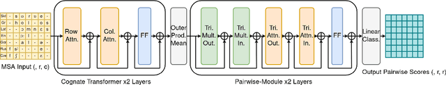 Figure 2 for Automated Cognate Detection as a Supervised Link Prediction Task with Cognate Transformer