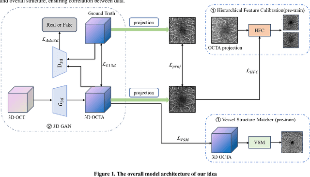 Figure 1 for PupiNet: Seamless OCT-OCTA Interconversion Through Wavelet-Driven and Multi-Scale Attention Mechanisms