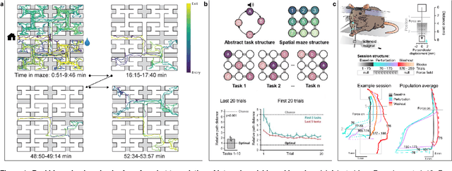 Figure 1 for Adaptive Intelligence: leveraging insights from adaptive behavior in animals to build flexible AI systems