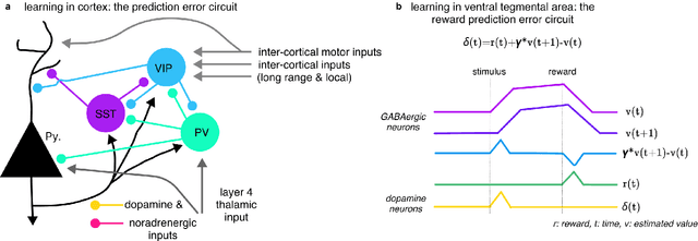 Figure 2 for Adaptive Intelligence: leveraging insights from adaptive behavior in animals to build flexible AI systems