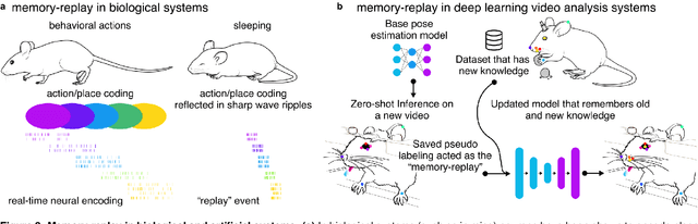 Figure 3 for Adaptive Intelligence: leveraging insights from adaptive behavior in animals to build flexible AI systems