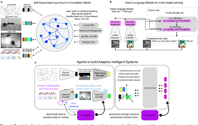 Figure 4 for Adaptive Intelligence: leveraging insights from adaptive behavior in animals to build flexible AI systems