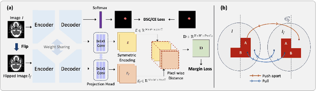 Figure 3 for Leveraging Semantic Asymmetry for Precise Gross Tumor Volume Segmentation of Nasopharyngeal Carcinoma in Planning CT