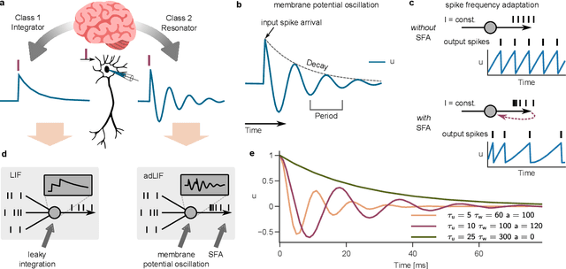 Figure 1 for Advancing Spatio-Temporal Processing in Spiking Neural Networks through Adaptation