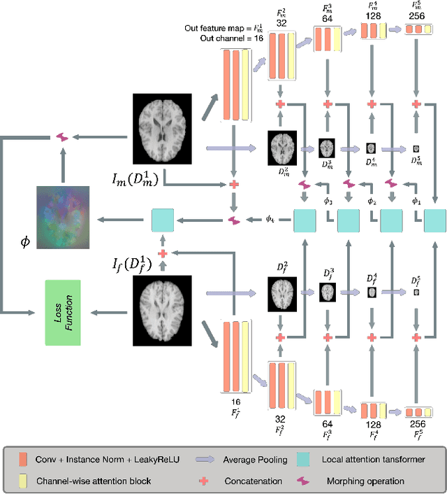 Figure 1 for Pyramid Attention Network for Medical Image Registration