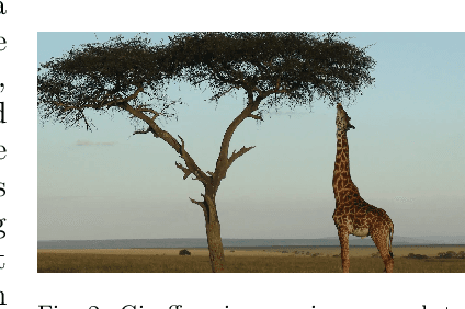 Figure 3 for Thorns and Algorithms: Navigating Generative AI Challenges Inspired by Giraffes and Acacias