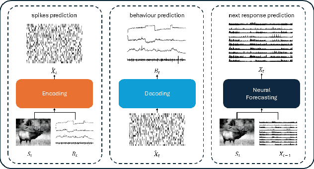 Figure 1 for QuantFormer: Learning to Quantize for Neural Activity Forecasting in Mouse Visual Cortex