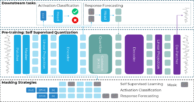 Figure 2 for QuantFormer: Learning to Quantize for Neural Activity Forecasting in Mouse Visual Cortex