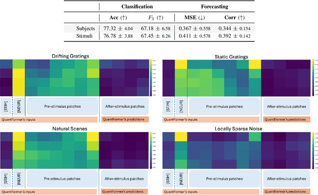 Figure 4 for QuantFormer: Learning to Quantize for Neural Activity Forecasting in Mouse Visual Cortex