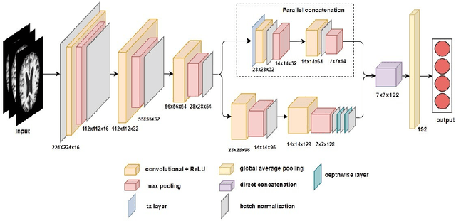 Figure 1 for AD-Lite Net: A Lightweight and Concatenated CNN Model for Alzheimer's Detection from MRI Images