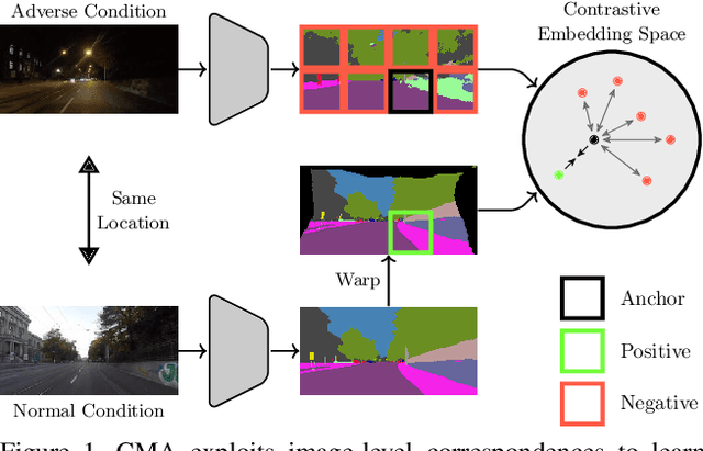 Figure 1 for Contrastive Model Adaptation for Cross-Condition Robustness in Semantic Segmentation